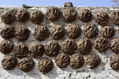 162 Cow Dung Cakes Stock Photos - Free & Royalty-Free Stock Photos from  Dreamstime