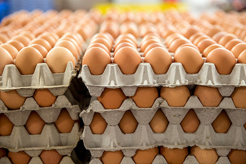 Brown Table Chicken Eggs