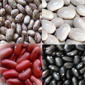 Red and White Kidney Beans