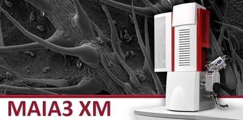 MAIA3 XM Ultra High Resolution Schottky Field Emission Scanning Electron Microscope