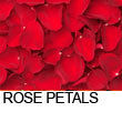 Rose Petals (Gulab Papri)