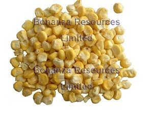 Freeze Dried Sweet Corn