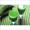 Bitter Gourd (Karela) Juice