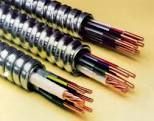 Electric Conductors