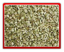 Bishops Seeds (Ajwain)