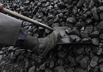 Coal - High Calorific Value & Low Ash Content , Premium Quality for Industrial Use