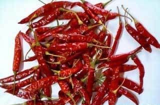 Abs Plastic Dry Red Chillies