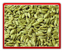 Fennel Seed