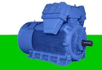 Medium Voltage Motors