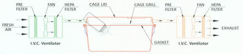 Ventilated Caging