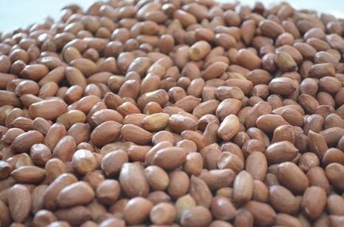 Indian Bold Peanuts