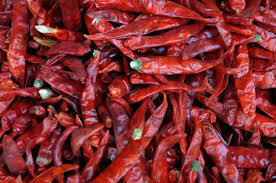 Fresh Red Chilli