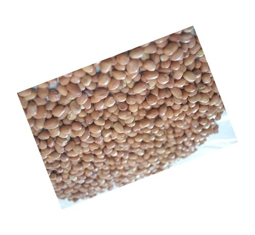 Java Peanut 70-80