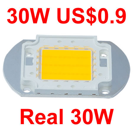 LED Diodes (30W)