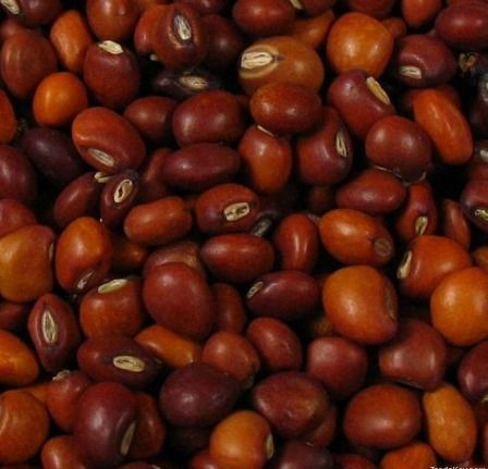 Sudan Red Pigeon Peas