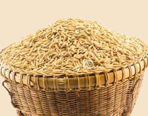 Hybrid Paddy Seeds Application: For Storage Of Sensitive Devices