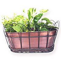 Oval Basket Planter