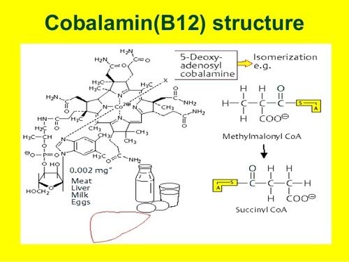 Vitamin B12