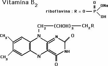 Vitamin B2