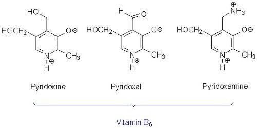 Vitamin B6