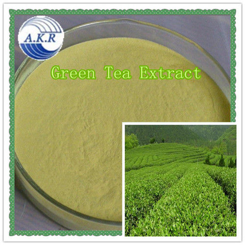Green Tea Extract Matcha Powder
