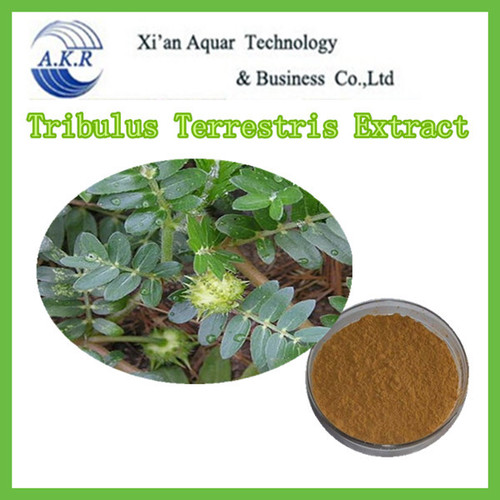 Tribulus Terrestris Extract By XI'anAquarTechnology& BusinessCo., Ltd.