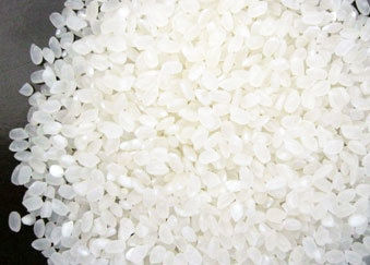 Japonica Rice