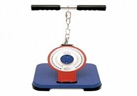 Leg And Back Dynamometer