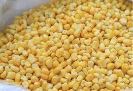 Frozen Sweet Corns