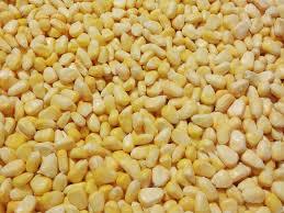 High Quality Frozen Sweet Corn