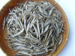 Anchovy Seafood