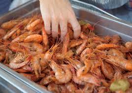 Shrimps Seafood