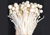 Enoki Mushrooms