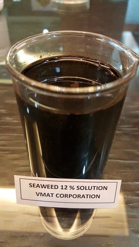 Seaweed Solution (12%)