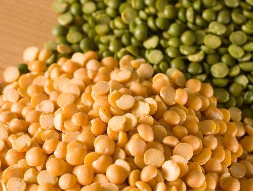 Fresh Pulses