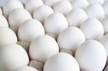 Quality Fresh White Table Eggs