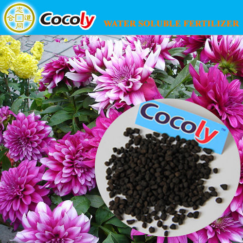 Cocoly Nitrogen Potassium Fertilizer