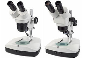 Novex AR Series-Stereo Microscope