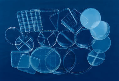 Petri Dishes - 85 mm Dia. X 15 mm Ht., Sterile, Disposable | High-Quality Manufacturing, Multi-Compartment Options Available