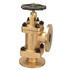 Bronze Accessible Feed Check Valve