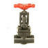 Forged Steel Globe Valve