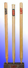 Cricket Stumps - Natural White Material, Bat Gripping Cone, Spare Rubber Grip, and Handle Features