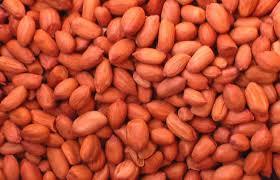 Ground Nuts (Peanuts)