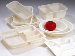 Disposable Food Containers