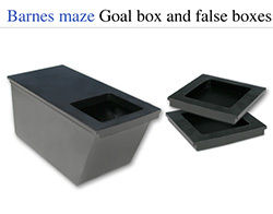 Barnes Maze Goal Box And False Boxes