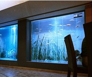 Large Aquariums