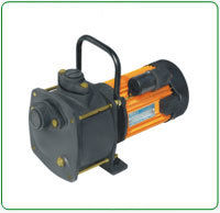 Shallow Well Pumps 2880 RPM