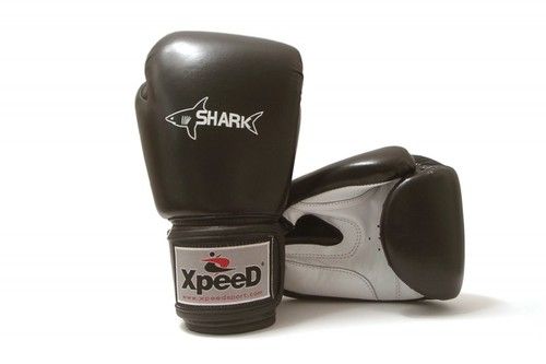 Shark Boxing Glove