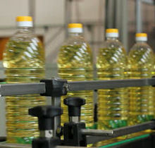 Sunflower Oil