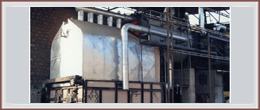 Multi Fuel Fired c Manual Steam Boiler